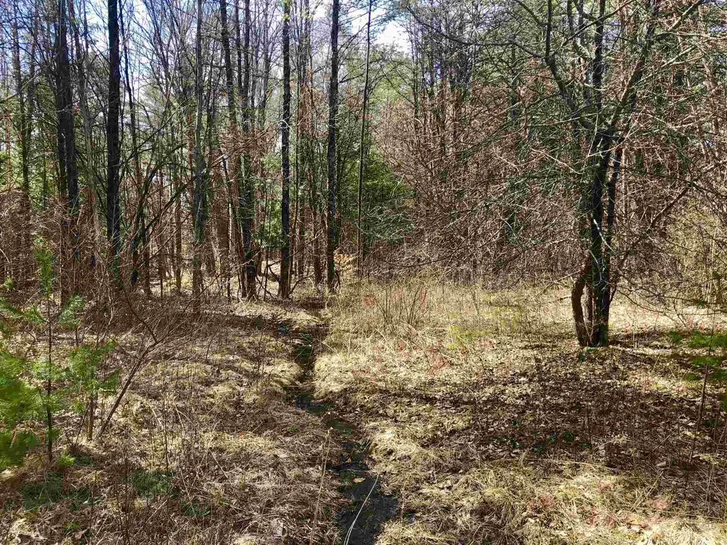0 Forest Lane Bradford VT 05033