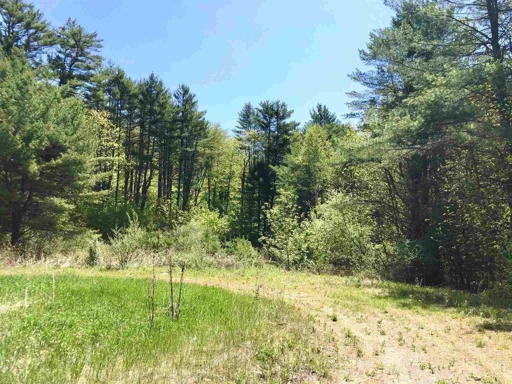 0 Forest Lane Bradford VT 05033