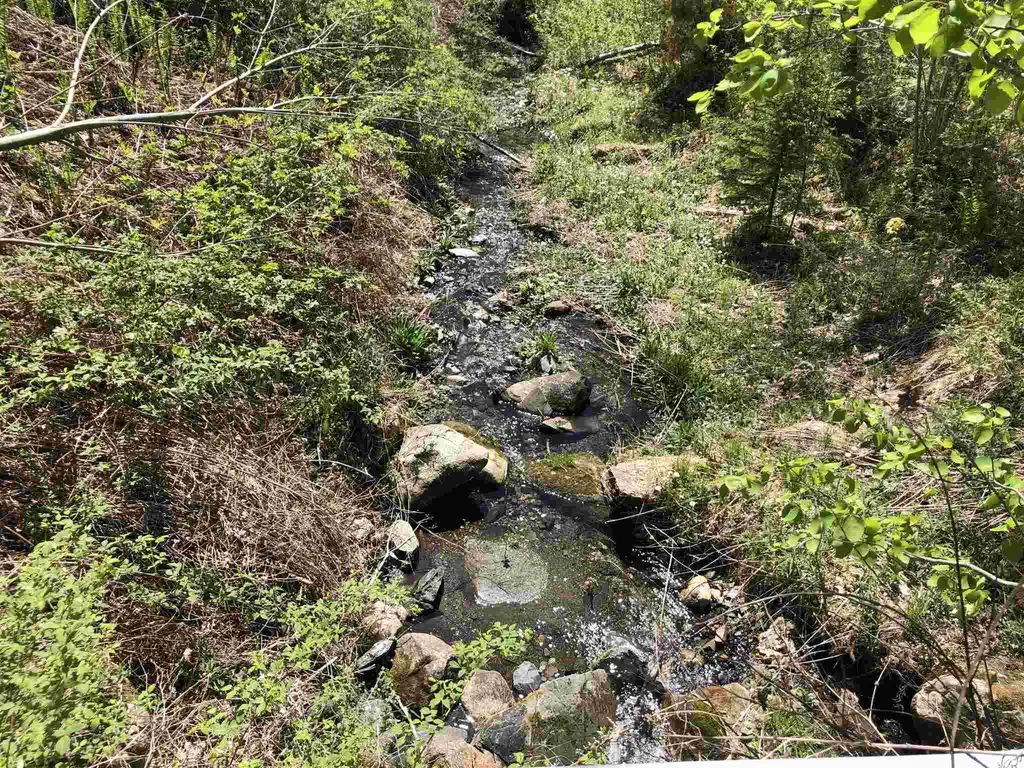 0 Forest Lane Bradford VT 05033