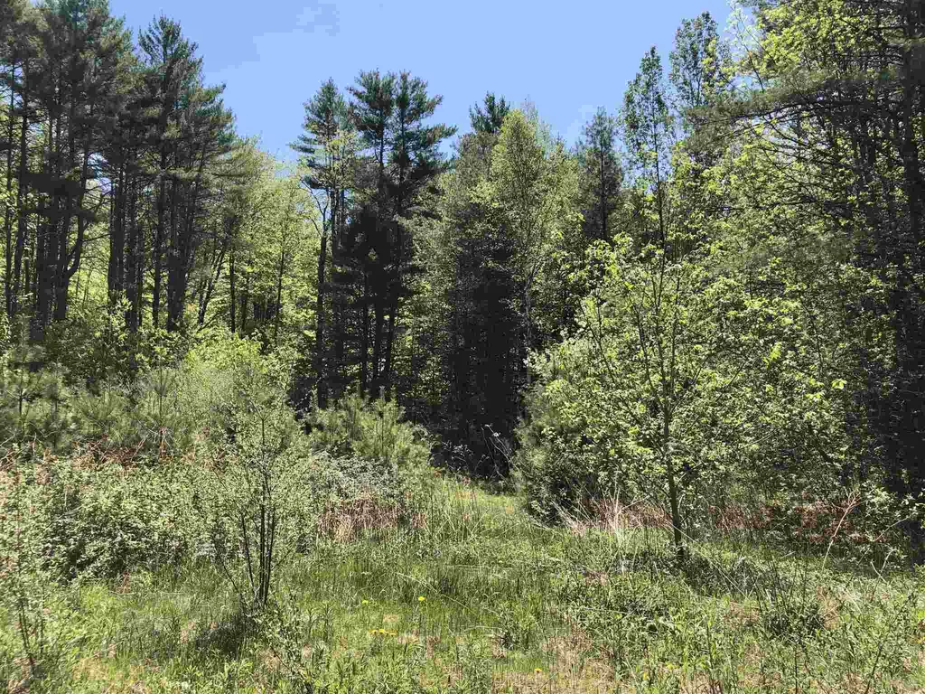 0 Forest Lane Bradford VT 05033