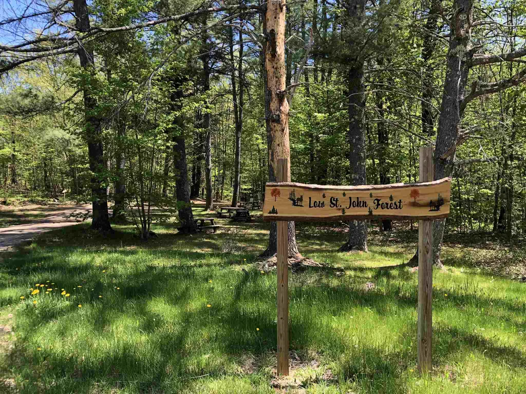 0 Forest Lane Bradford VT 05033