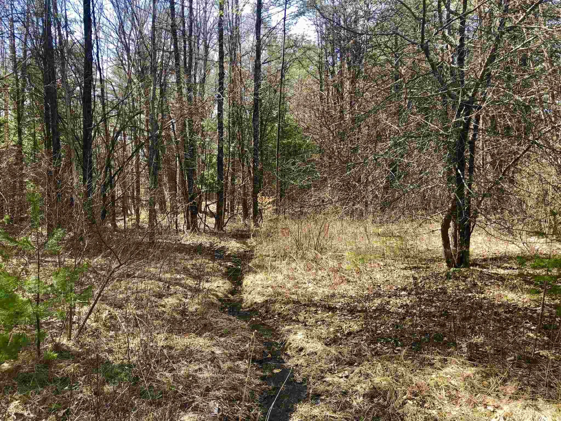 0 Forest Lane Bradford VT 05033
