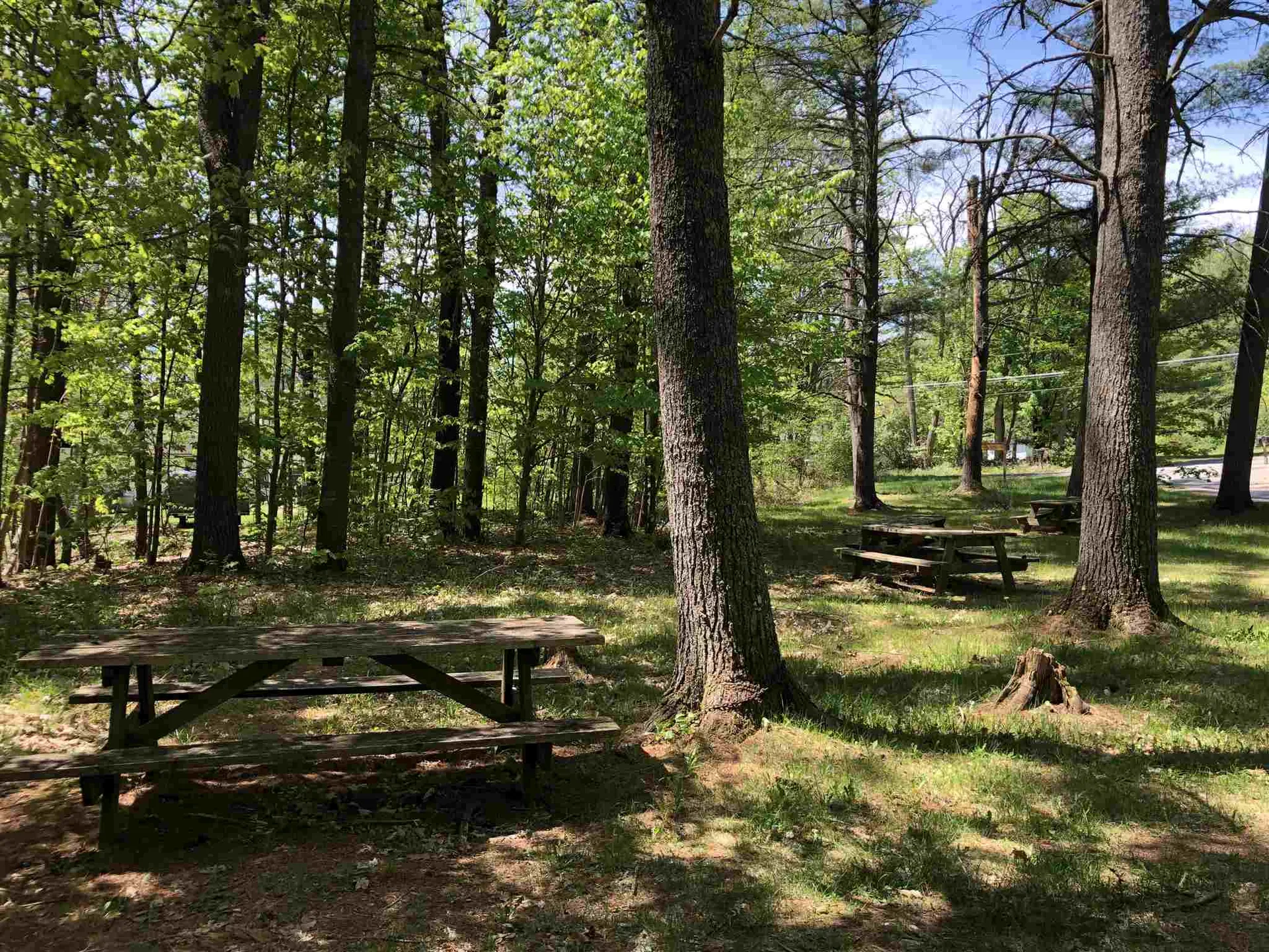 0 Forest Lane Bradford VT 05033