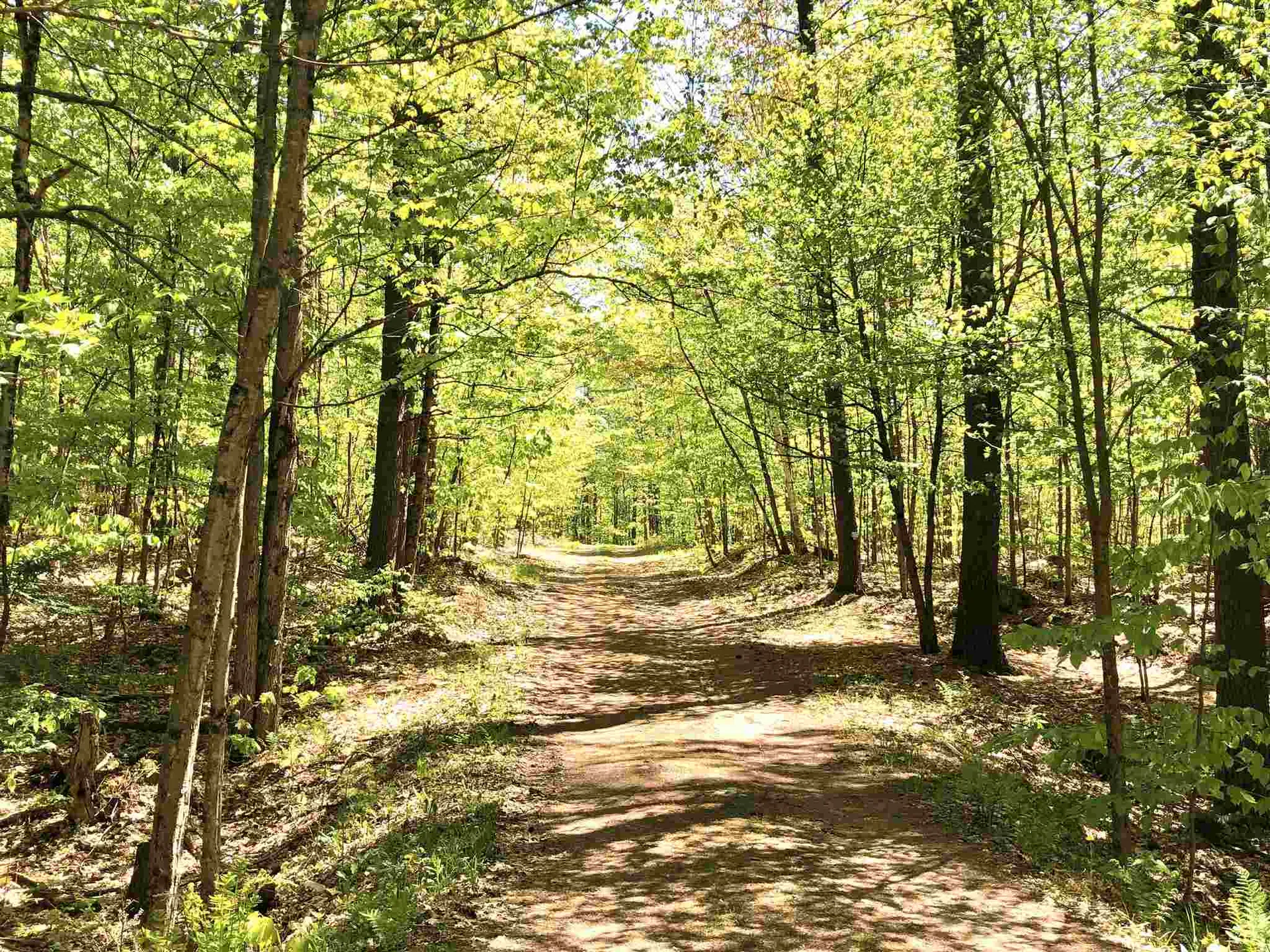 0 Forest Lane Bradford VT 05033