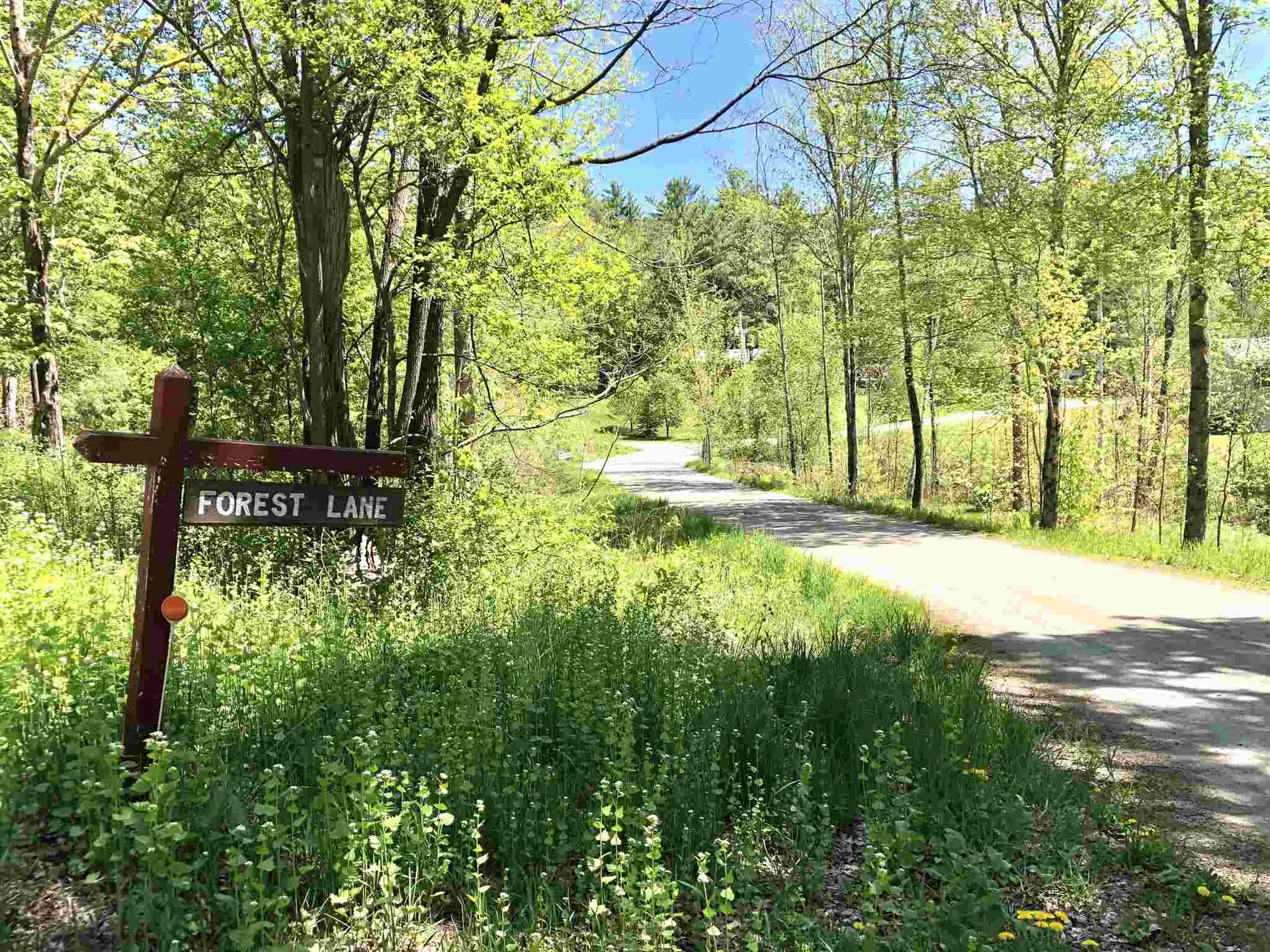 0 Forest Lane Bradford VT 05033