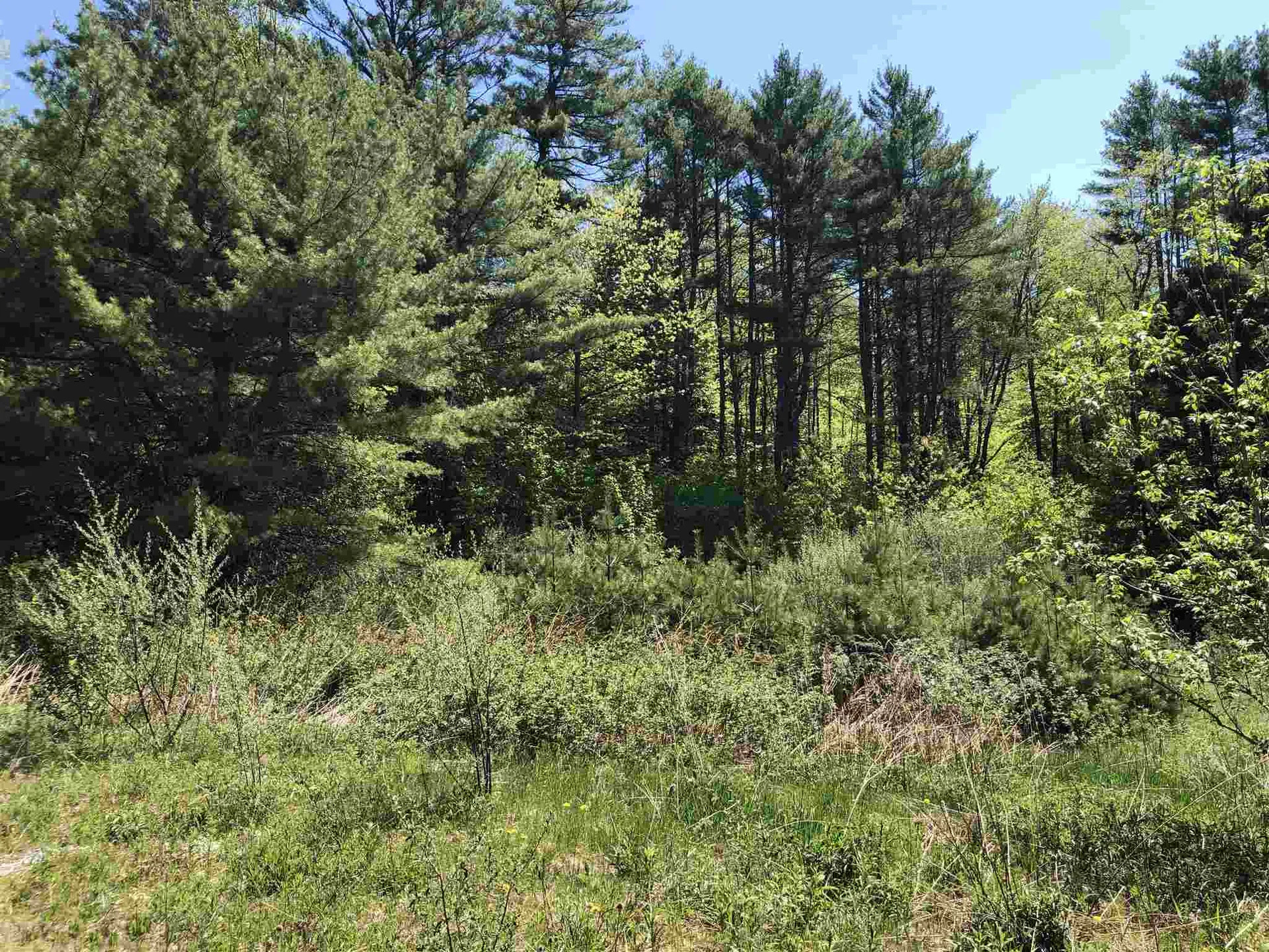 0 Forest Lane Bradford VT 05033