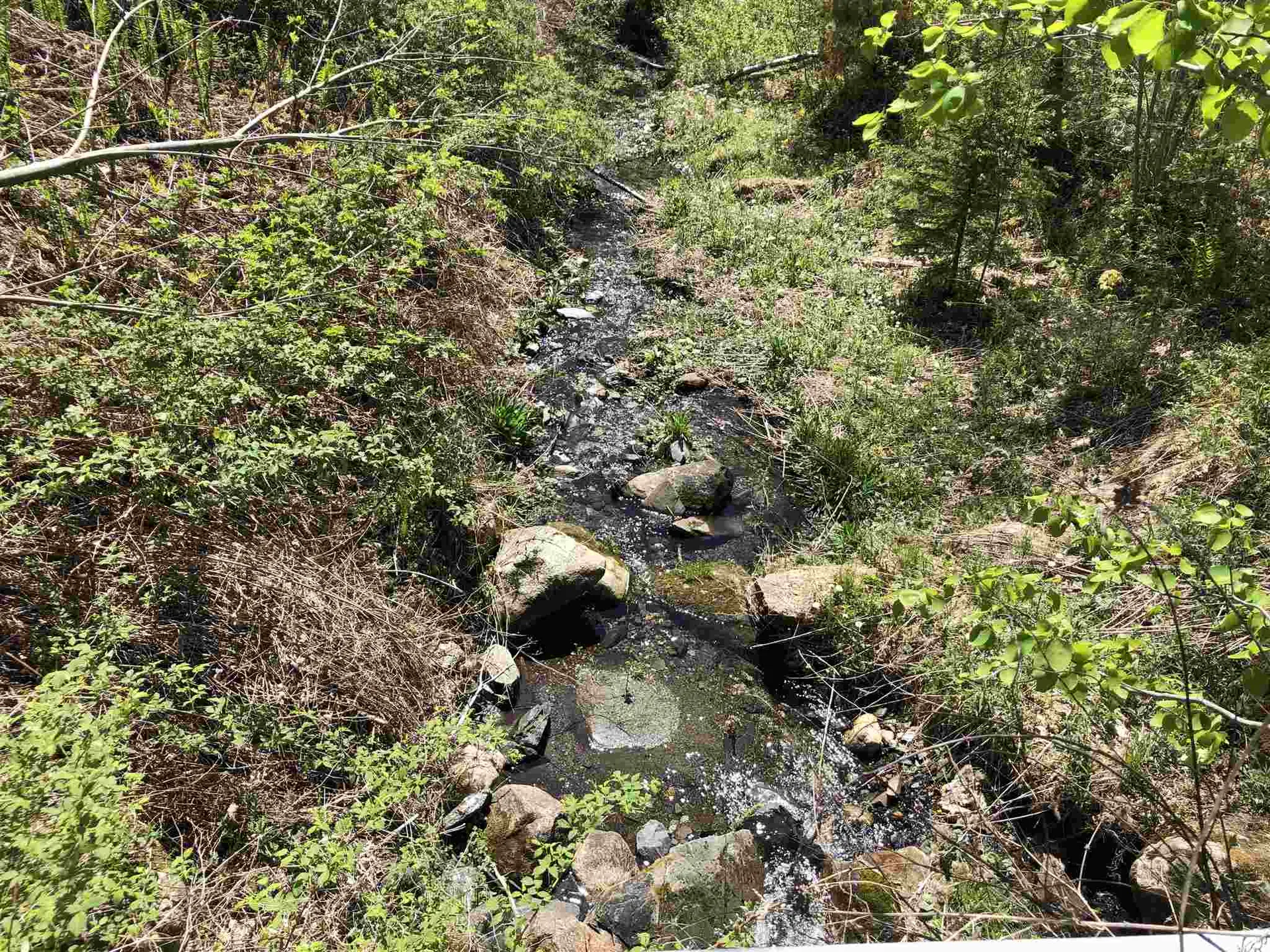 0 Forest Lane Bradford VT 05033
