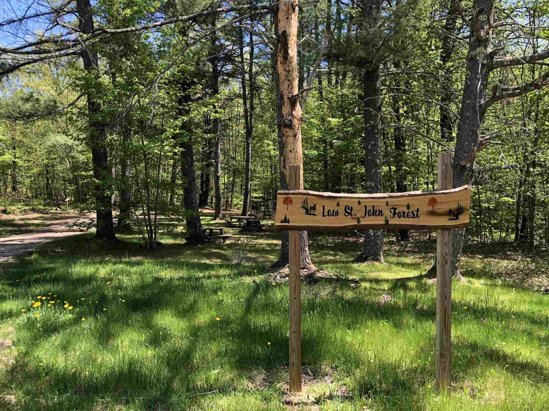 0 Forest Lane Bradford VT 05033