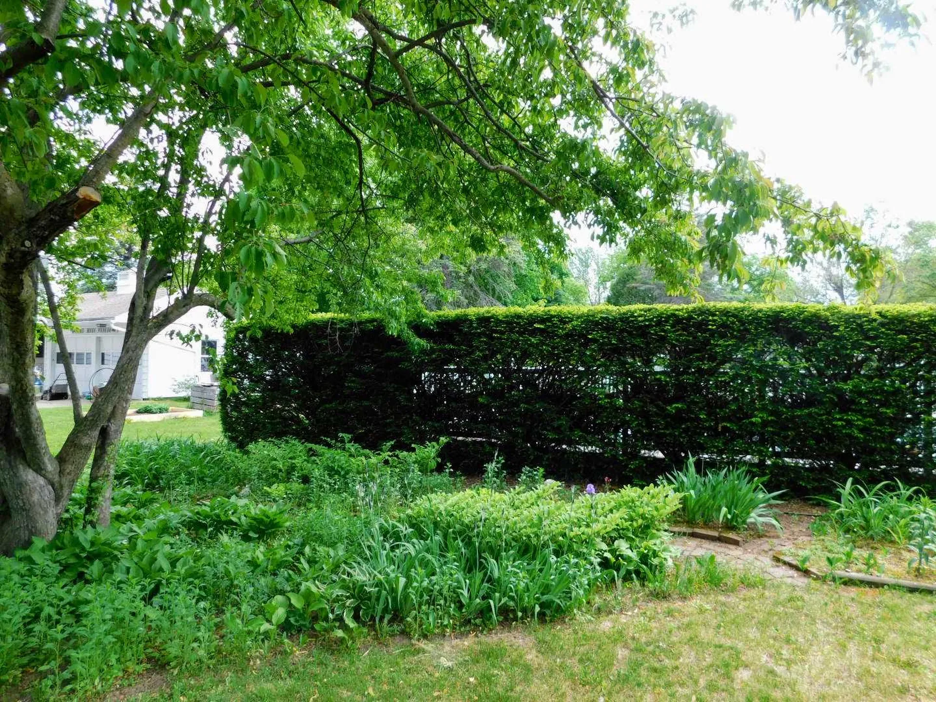 5 Park Street Winooski VT 05404