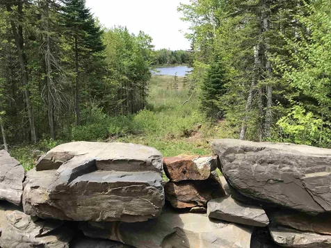2879 Old Duck Pond Road Sheffield VT 05866