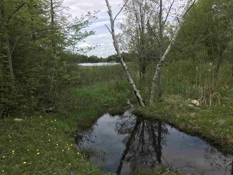 2879 Old Duck Pond Road Sheffield VT 05866