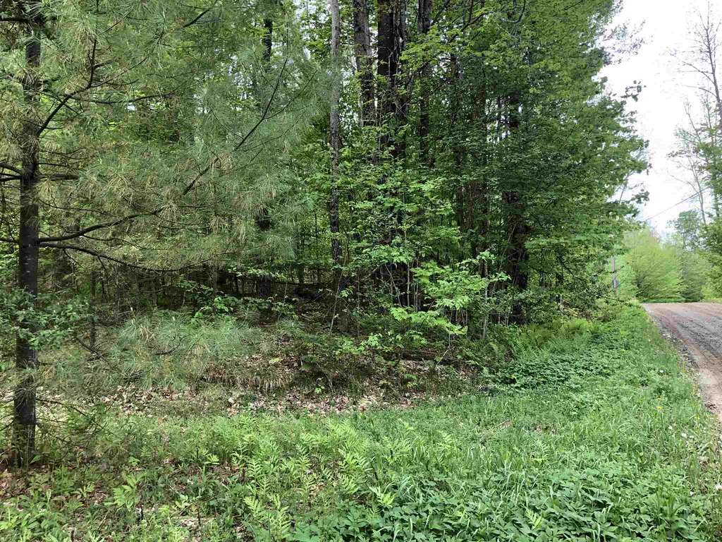 0 West Woodbury Road Woodbury VT 05680