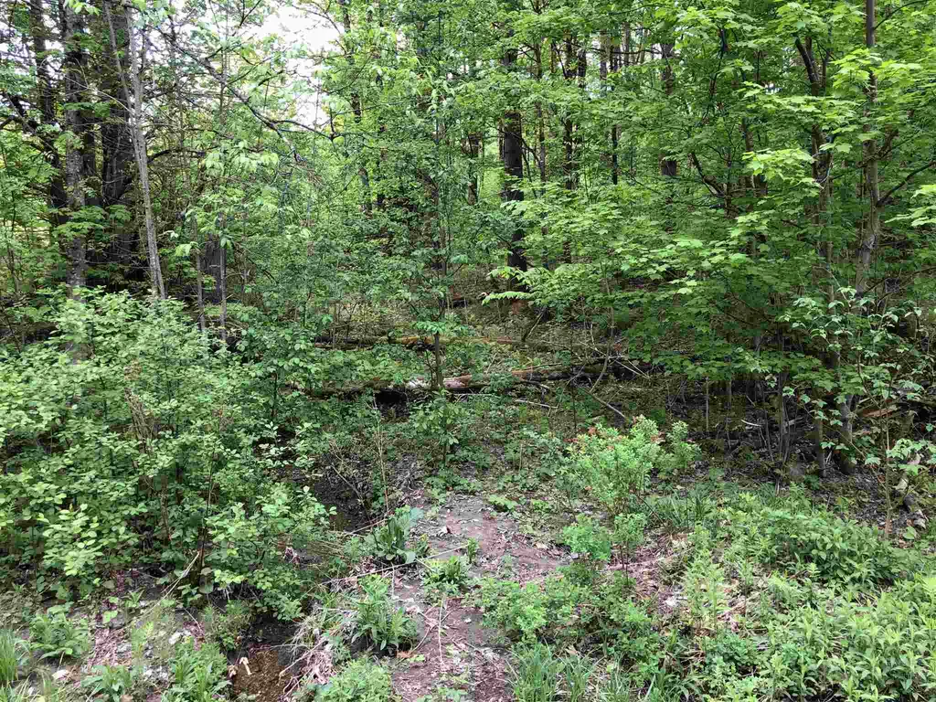 0 West Woodbury Road Woodbury VT 05680