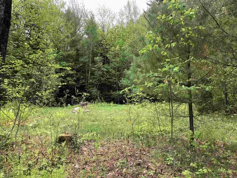 0 West Woodbury Road Woodbury VT 05680