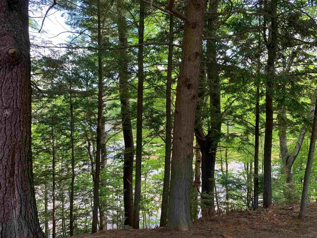 114 Bellamy Woods Road Dover NH 03820