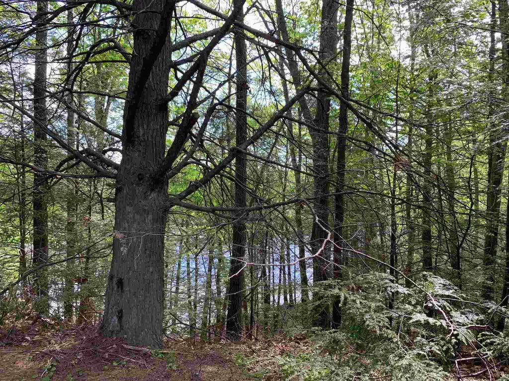 114 Bellamy Woods Road Dover NH 03820