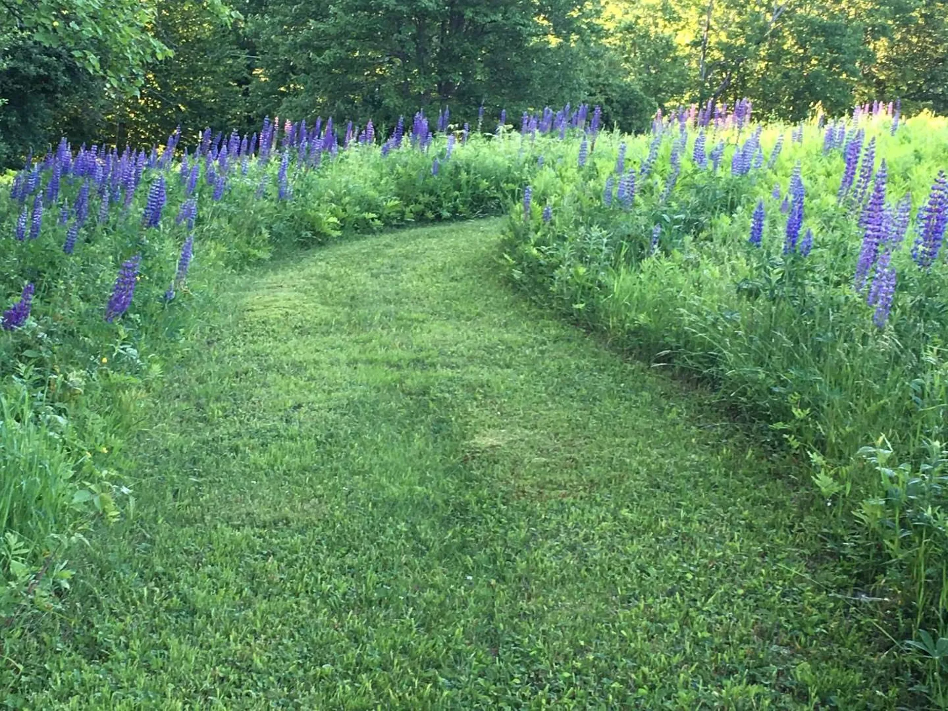 68 Lower English Settlement Road Underhill VT 05489
