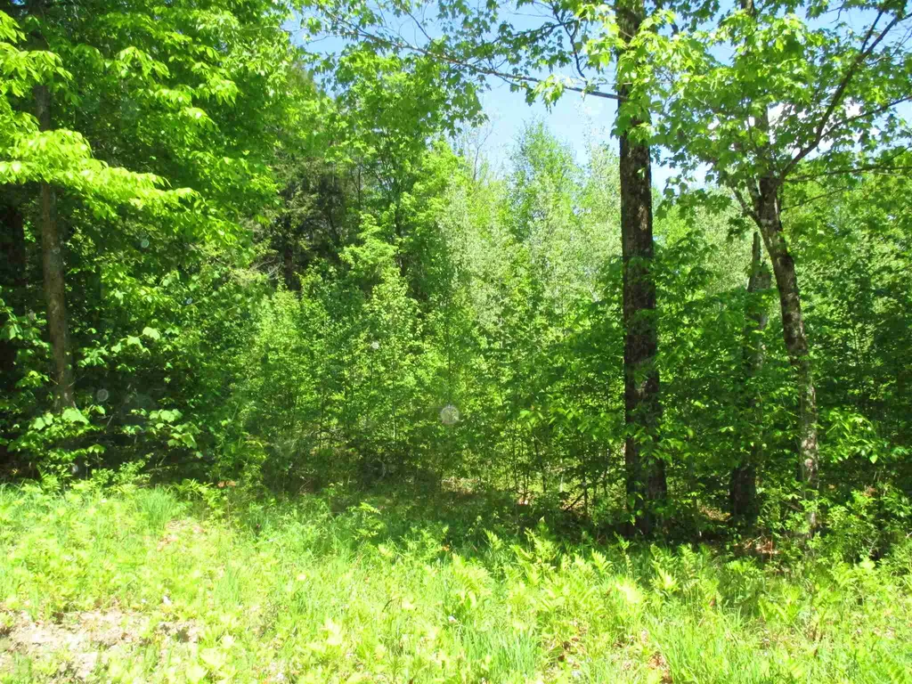 00 Ball Ground Road Westfield VT 05874