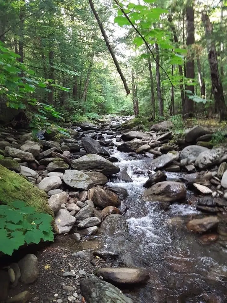 00 Ball Ground Road Westfield VT 05874