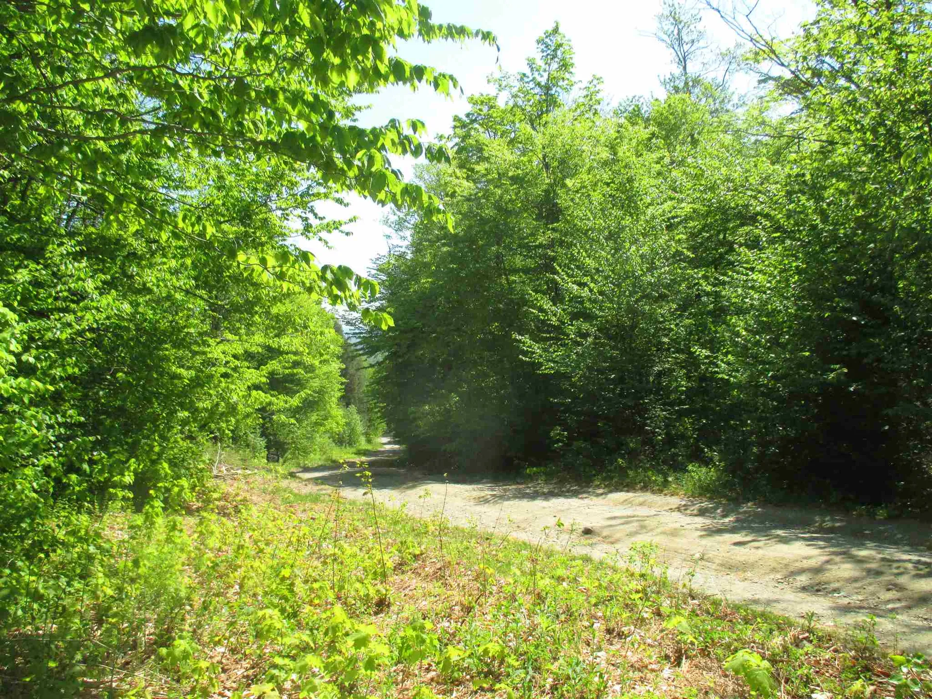00 Ball Ground Road Westfield VT 05874