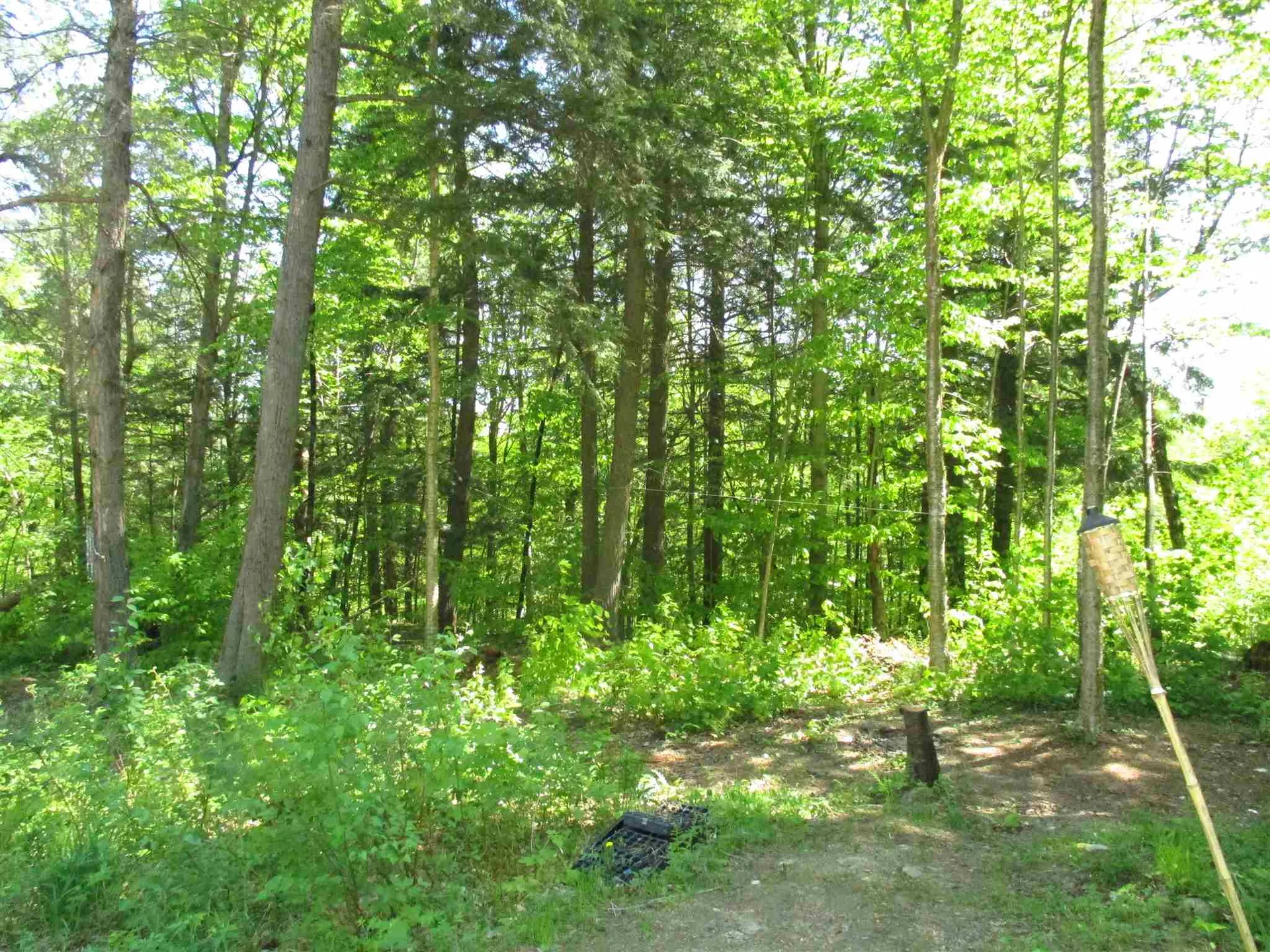 00 Ball Ground Road Westfield VT 05874