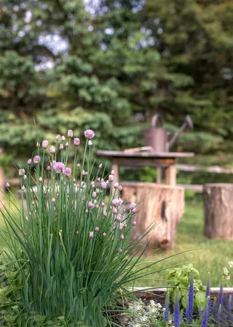 84 Barberry Circle Woodstock VT 05091