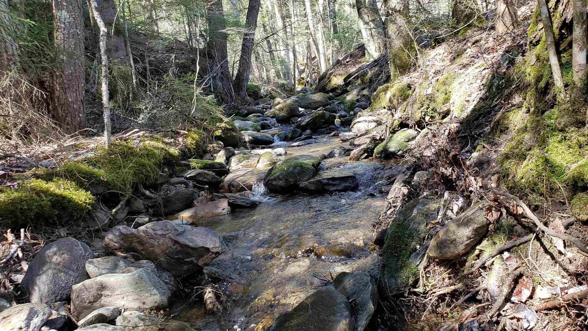 413 Randell Road Fayston VT 05660