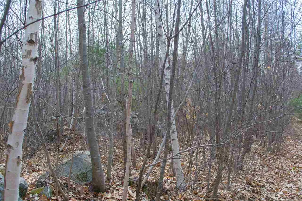 5 Shattigee Road Chester NH 03036
