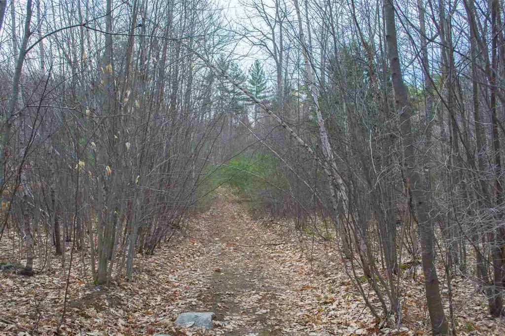 5 Shattigee Road Chester NH 03036