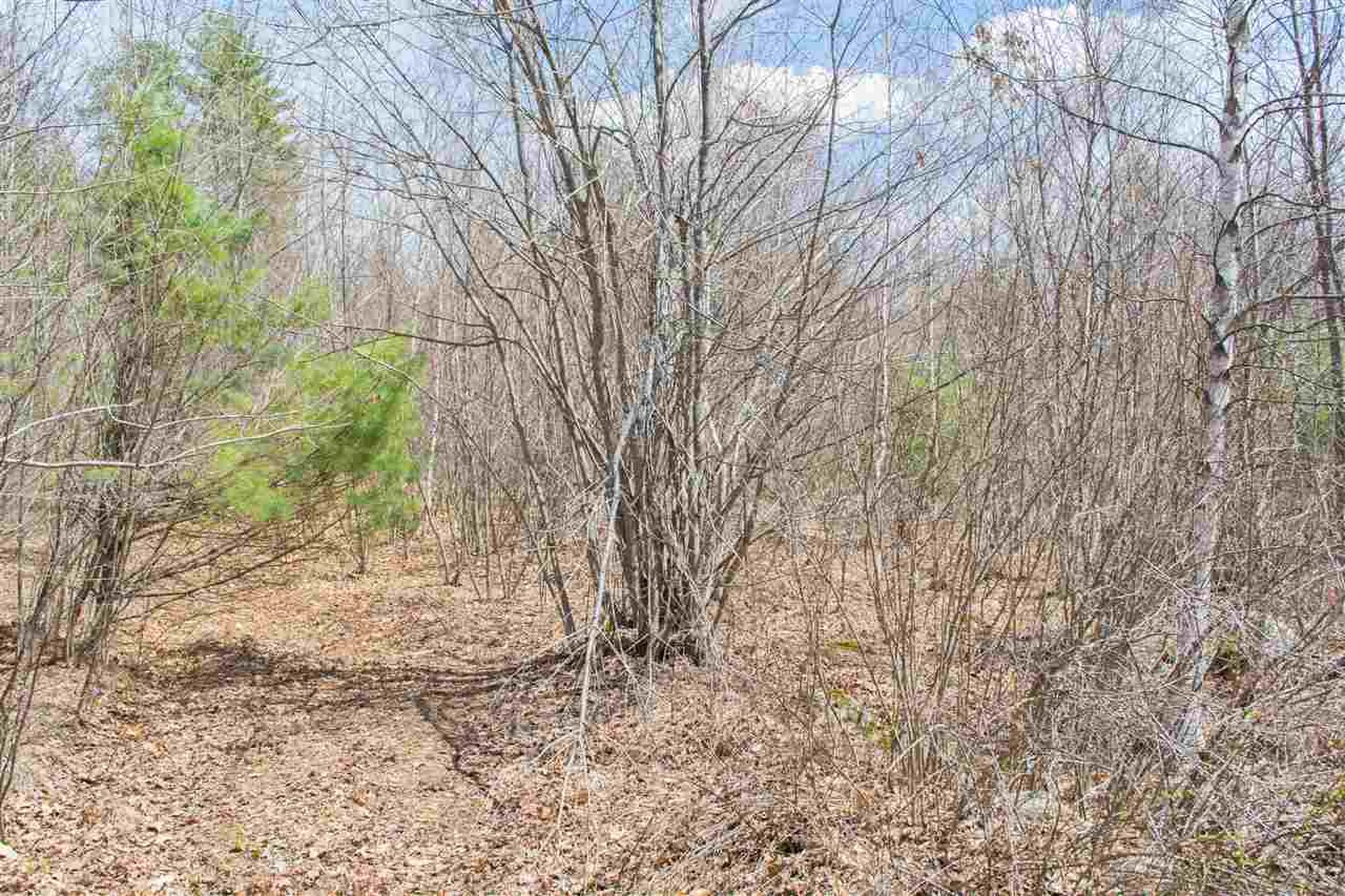 5 Shattigee Road Chester NH 03036
