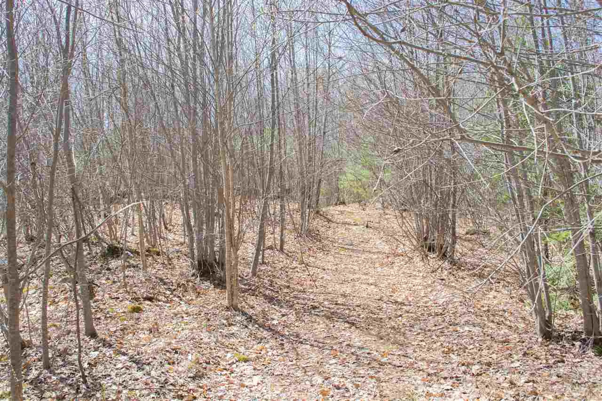 5 Shattigee Road Chester NH 03036