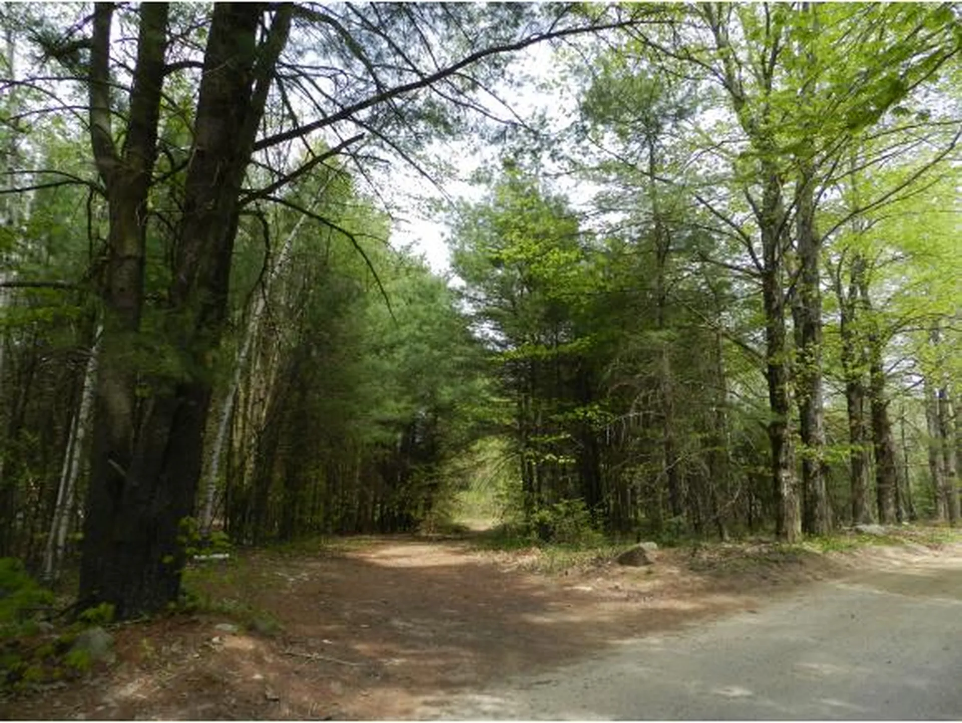 5 Shattigee Road Chester NH 03036