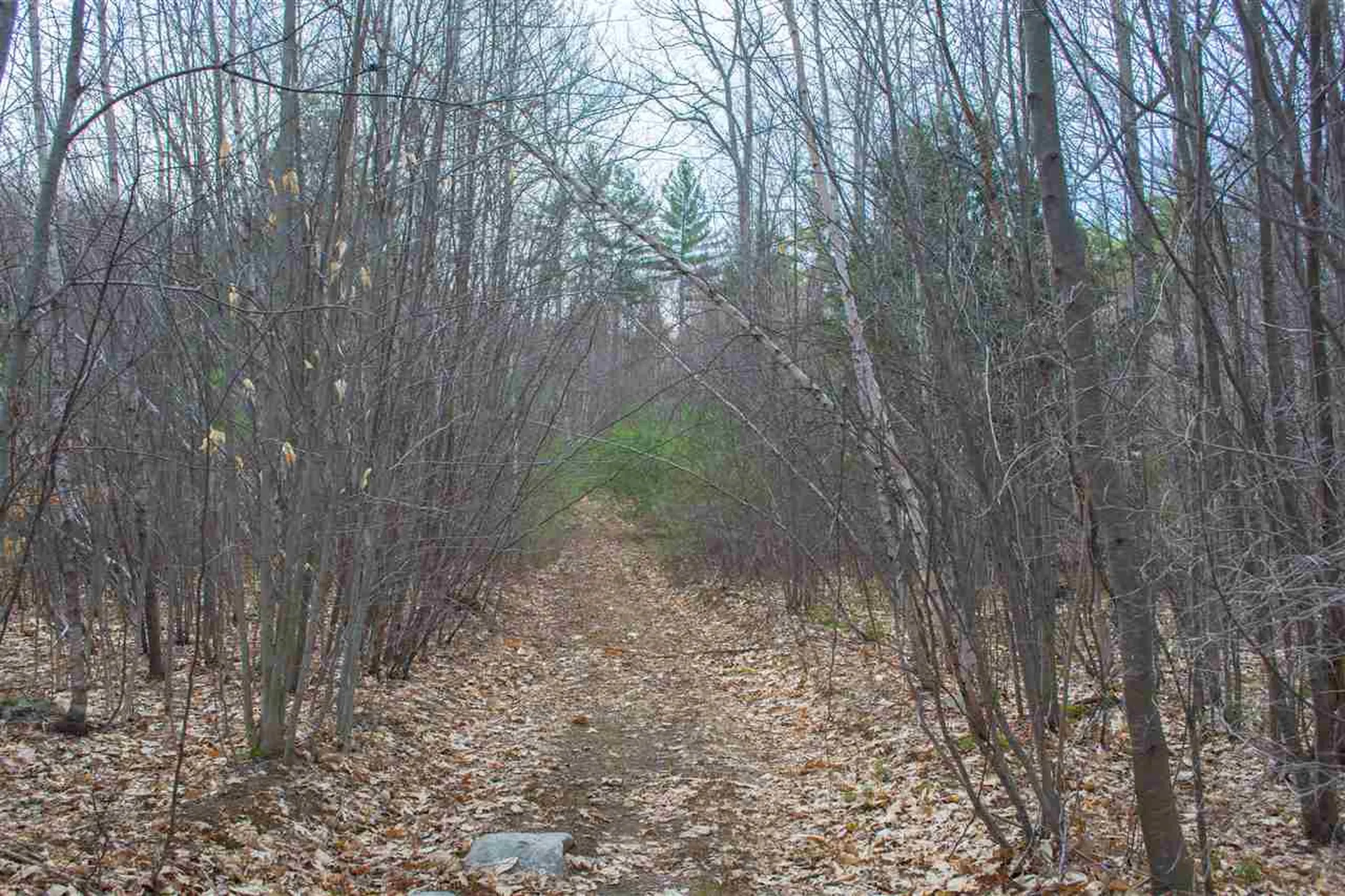 5 Shattigee Road Chester NH 03036