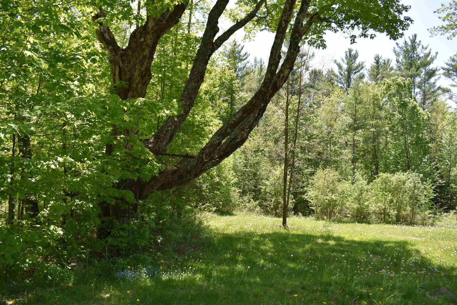 13 Gilby Lane Canaan NH 03741