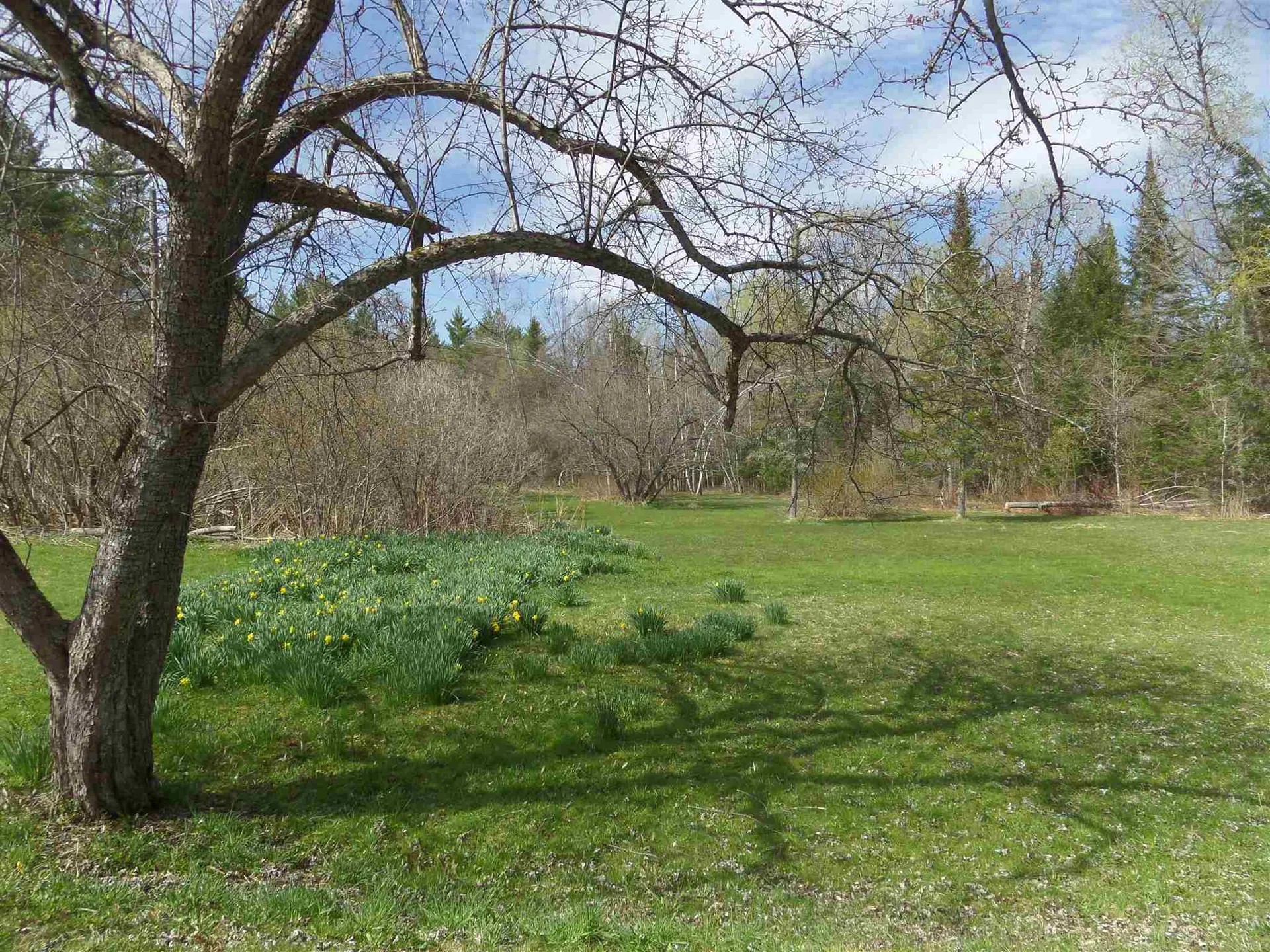 230 Perkins Road Montpelier VT 05602