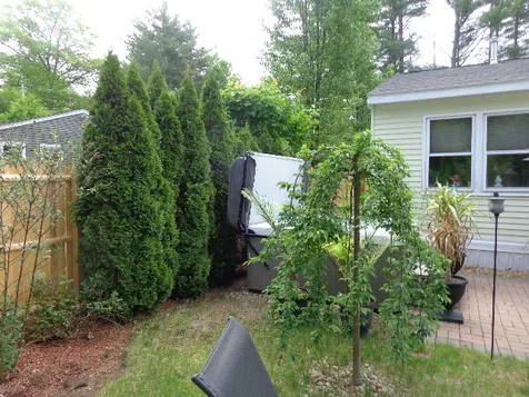 8 Erie Circle Nashua NH 03062