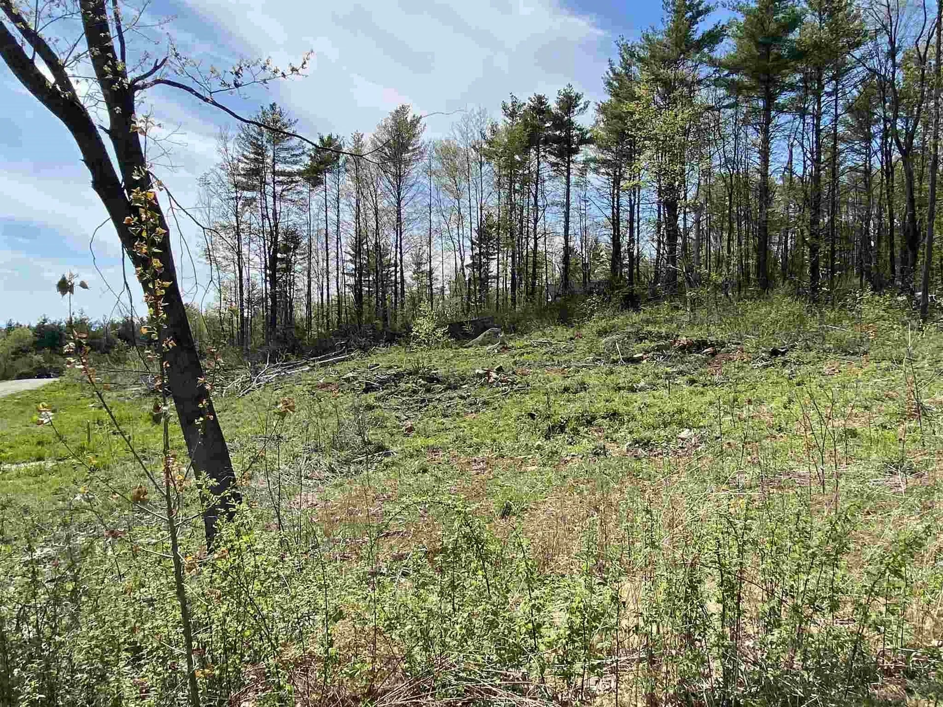 291 Pillsbury Lane St. George VT 05495