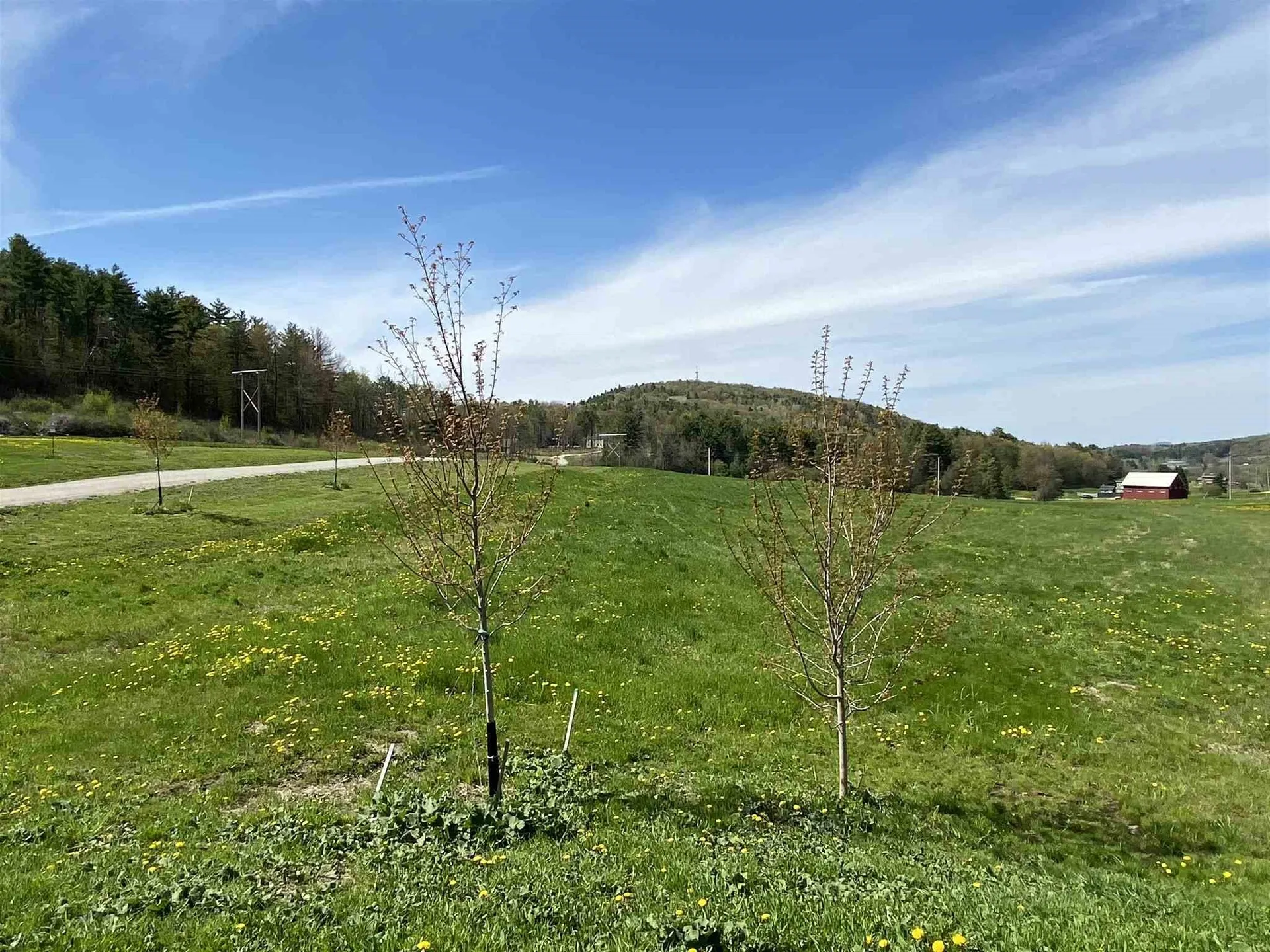 291 Pillsbury Lane St. George VT 05495
