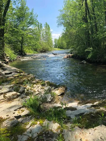 3860 Route 30 Pawlet VT 05761