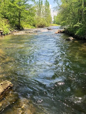 3860 Route 30 Pawlet VT 05761