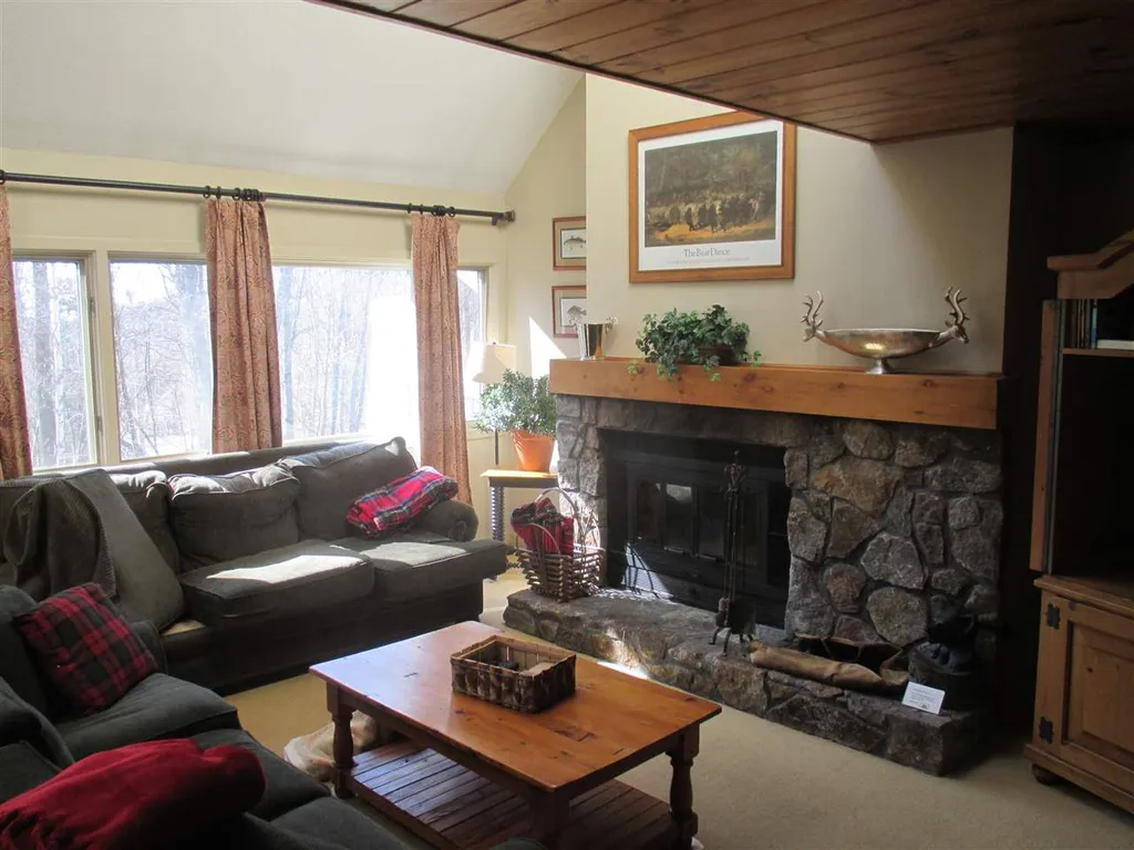 6 High Point Drive Stratton VT 05360