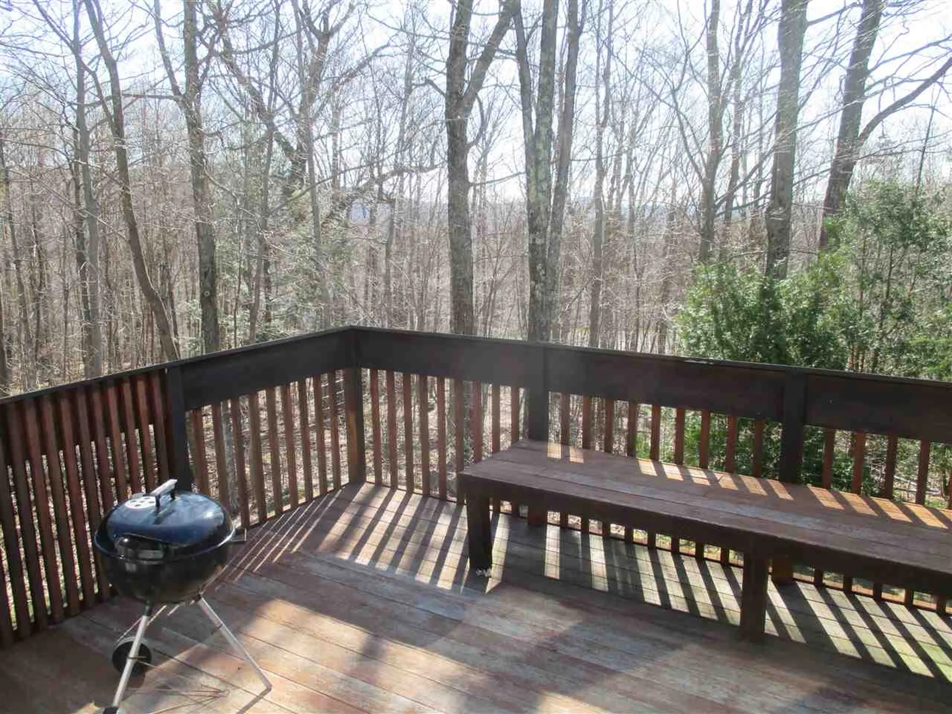 6 High Point Drive Stratton VT 05360