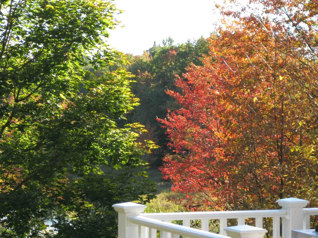 75 Tyler Hill Road Jaffrey NH 03452