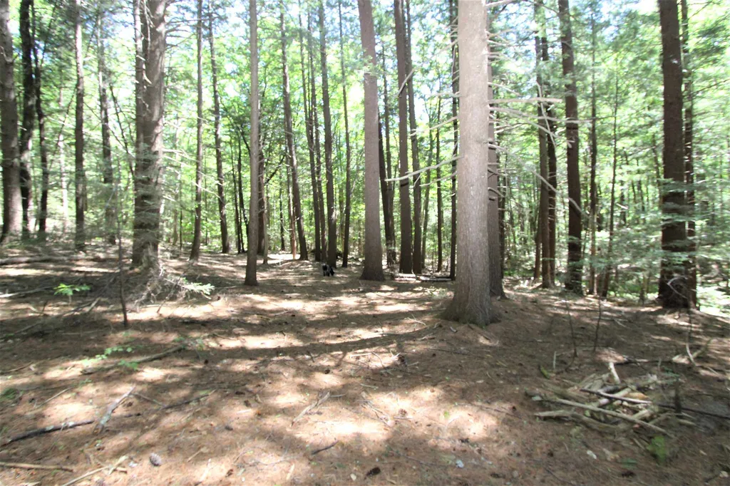 88 North Road Kingston NH 03848