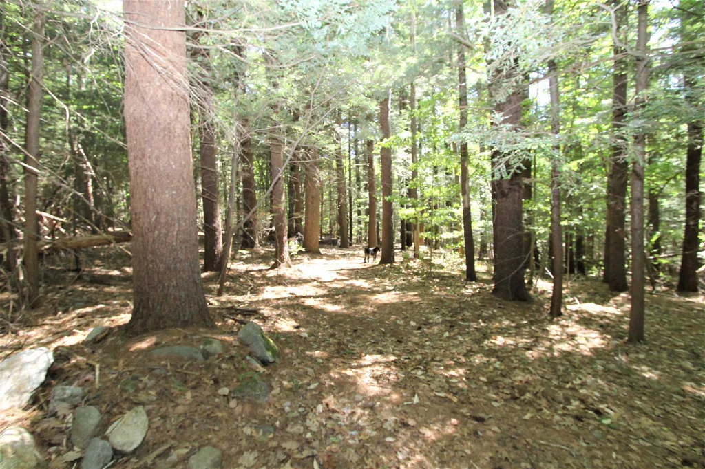 88 North Road Kingston NH 03848