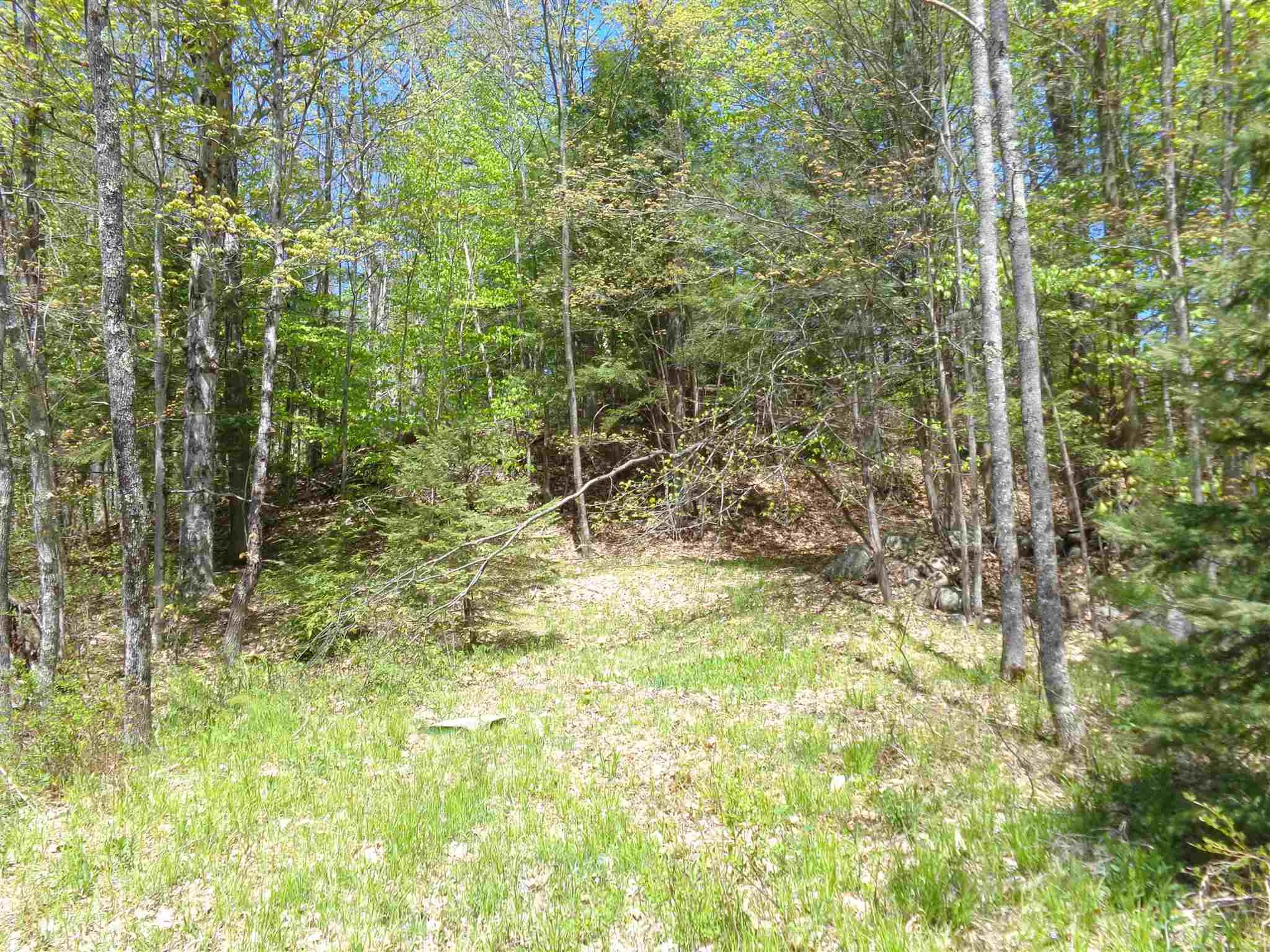 61 Riverdale Road Bristol NH 03222