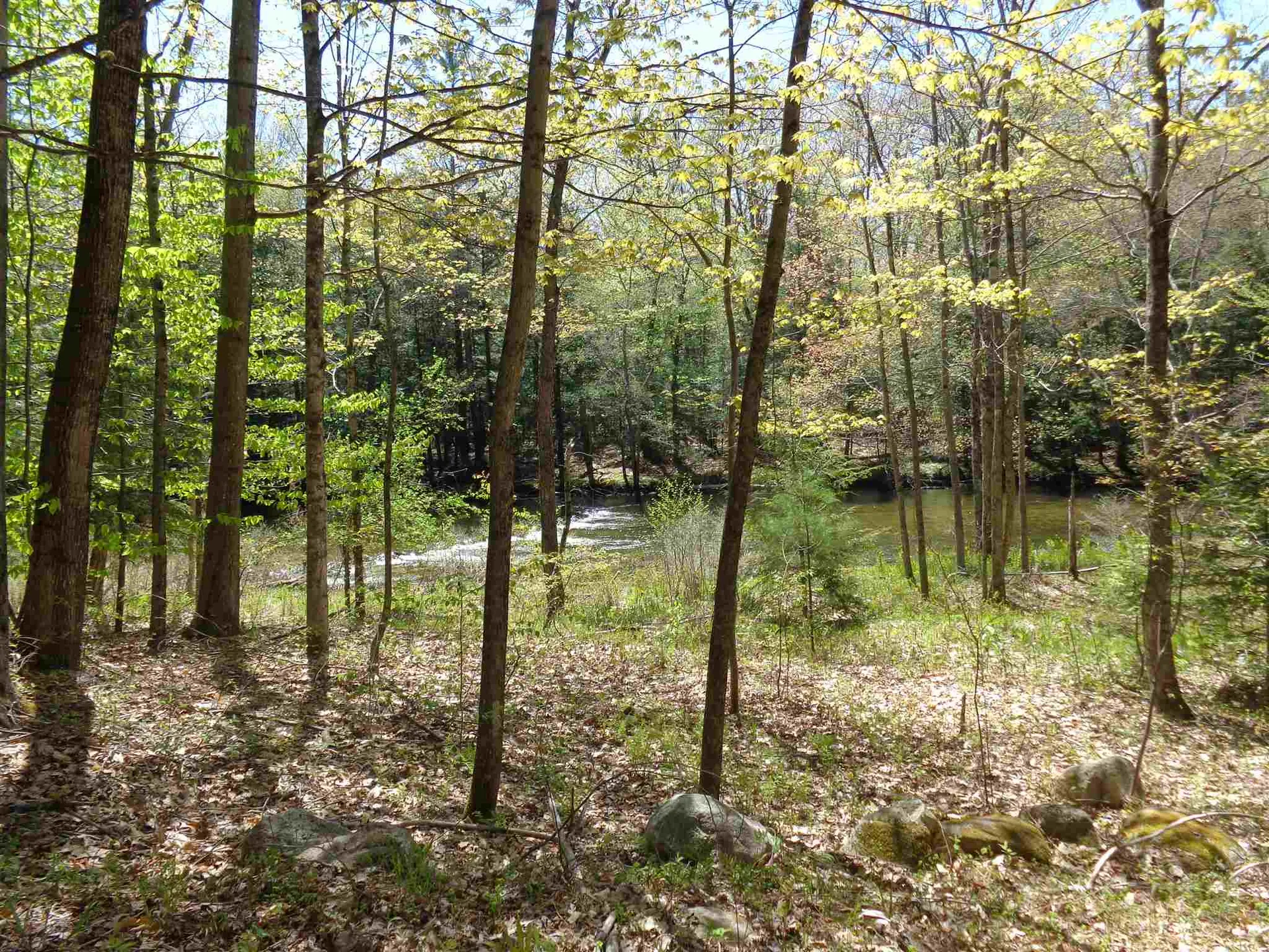 61 Riverdale Road Bristol NH 03222