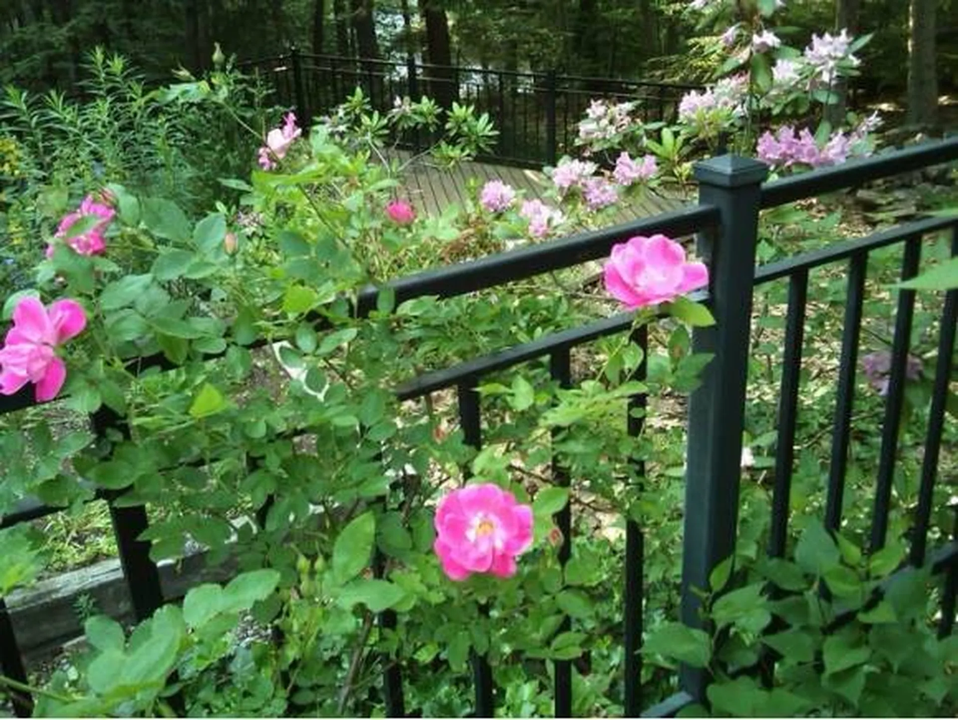 103 Boulder Drive Dublin NH 03444