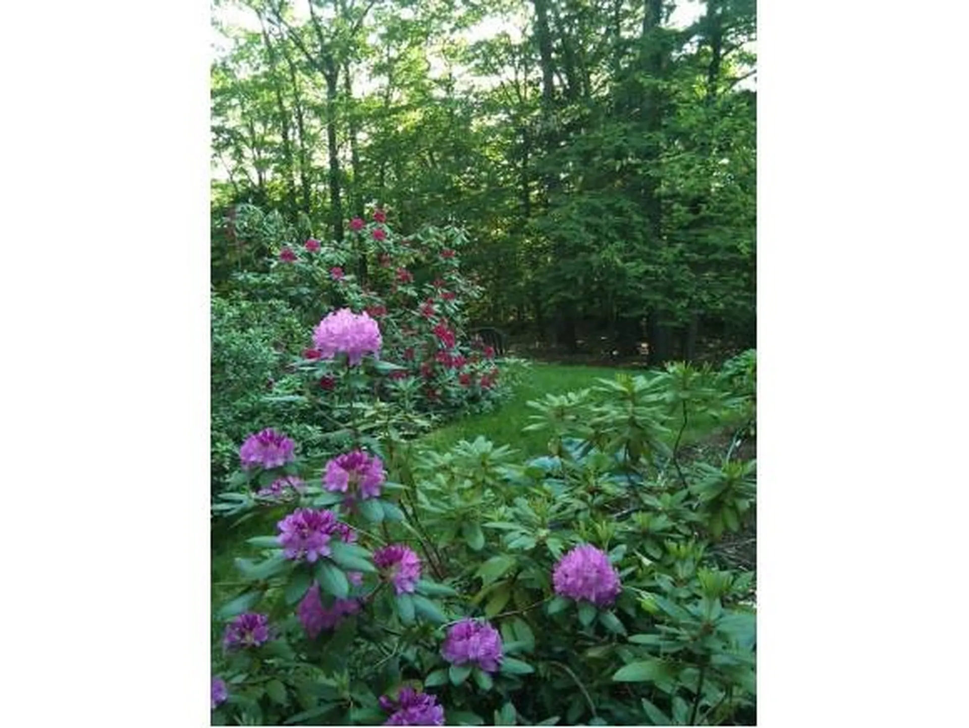 103 Boulder Drive Dublin NH 03444