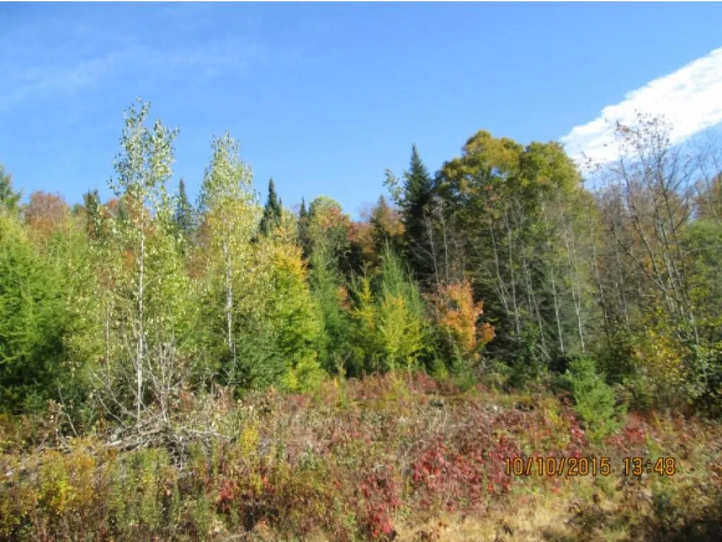 10787 Reservoir Road Canaan VT 05903